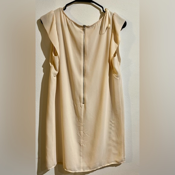 Naked Zebra Dress color Cream - Picture 3 of 4